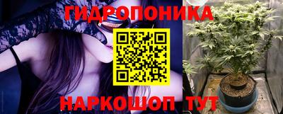 apvp Дубна