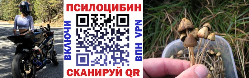 МЕГА зеркало Шатура Галлюциногенные грибы Psilocybine cubensis