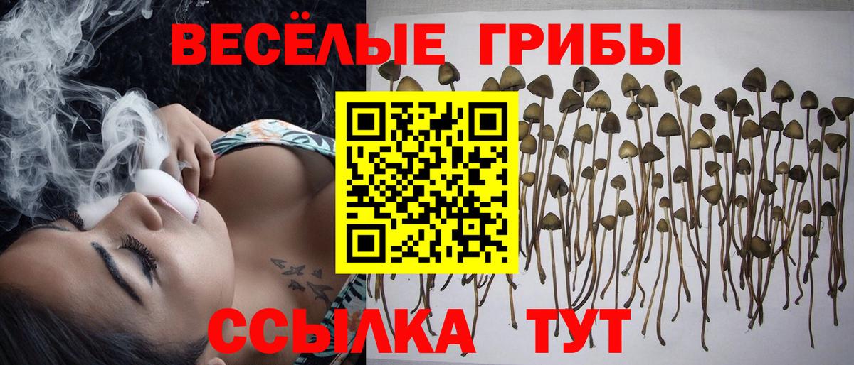 Галлюциногенные грибы GOLDEN TEACHER  Вход с VPN  Шатура 