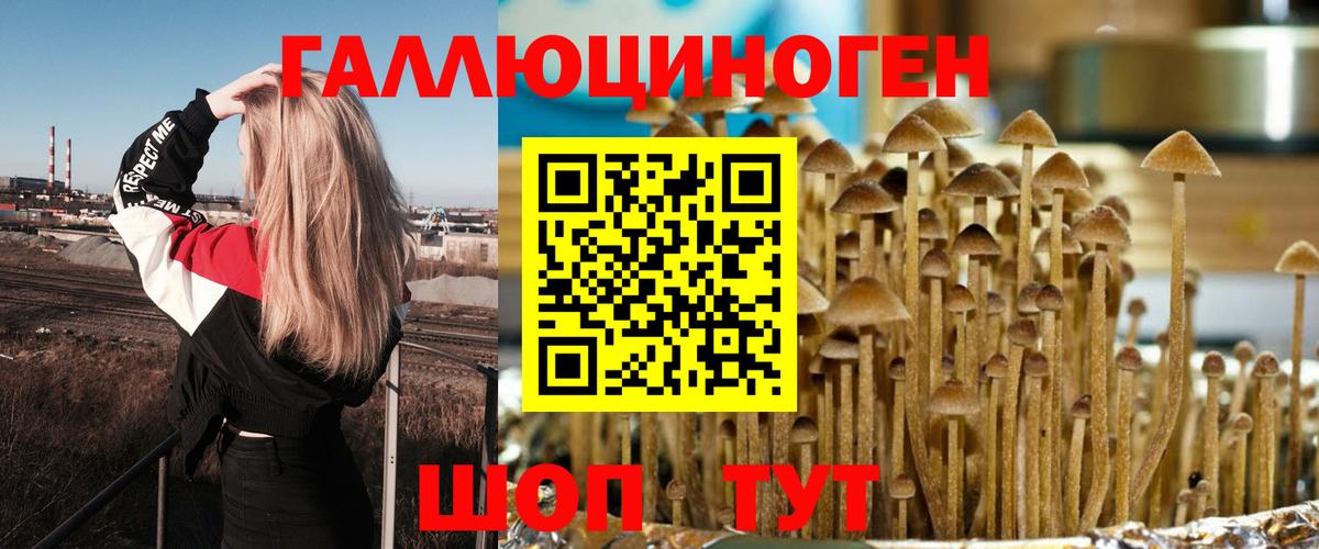 Псилоцибиновые грибы MAGIC MUSHROOMS  что такое   Шатура  Псилоцибиновые грибы прущие грибы 
