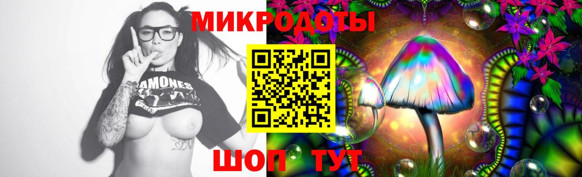 Псилоцибиновые грибы мицелий Шатура