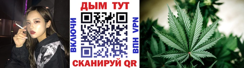 Бошки марихуана Amnesia  Шатура 